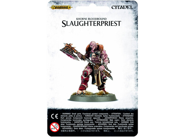 Khorne Bloodbound Slaughterpriest Warhammer Age of Sigmar 